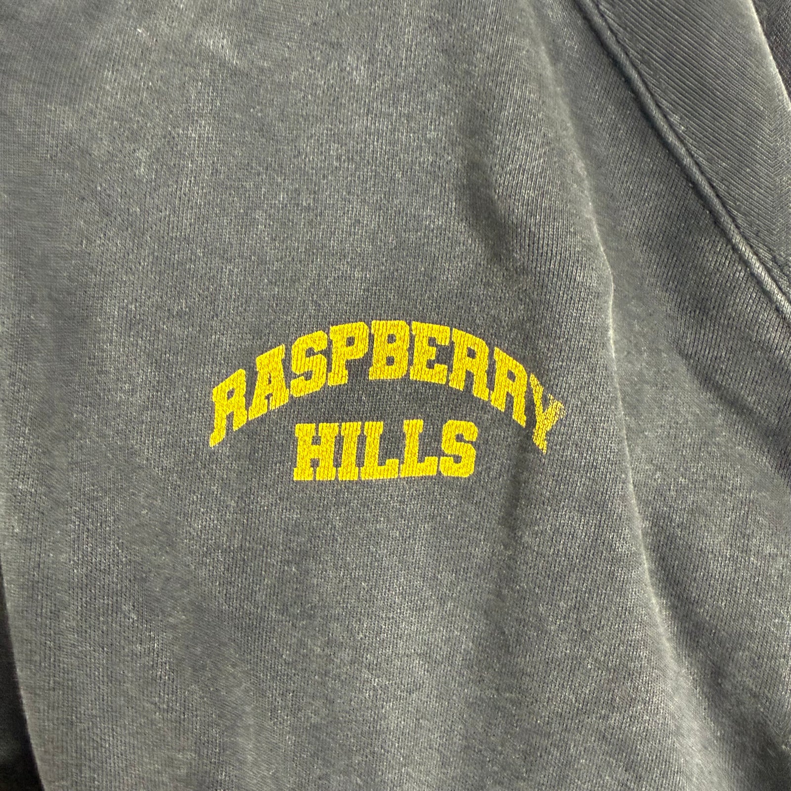Raspberry Hils Faded Logo Hoodie Size XXL