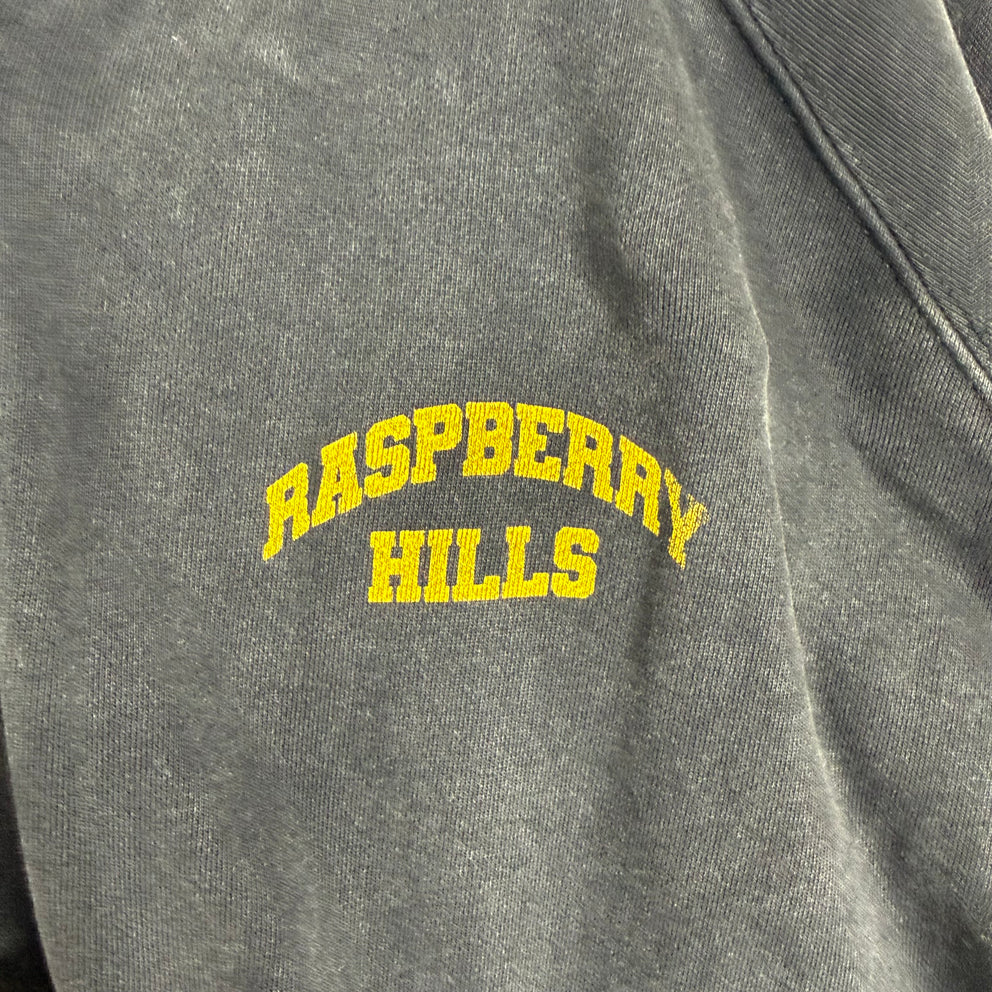 Raspberry Hils Faded Logo Hoodie Size XXL