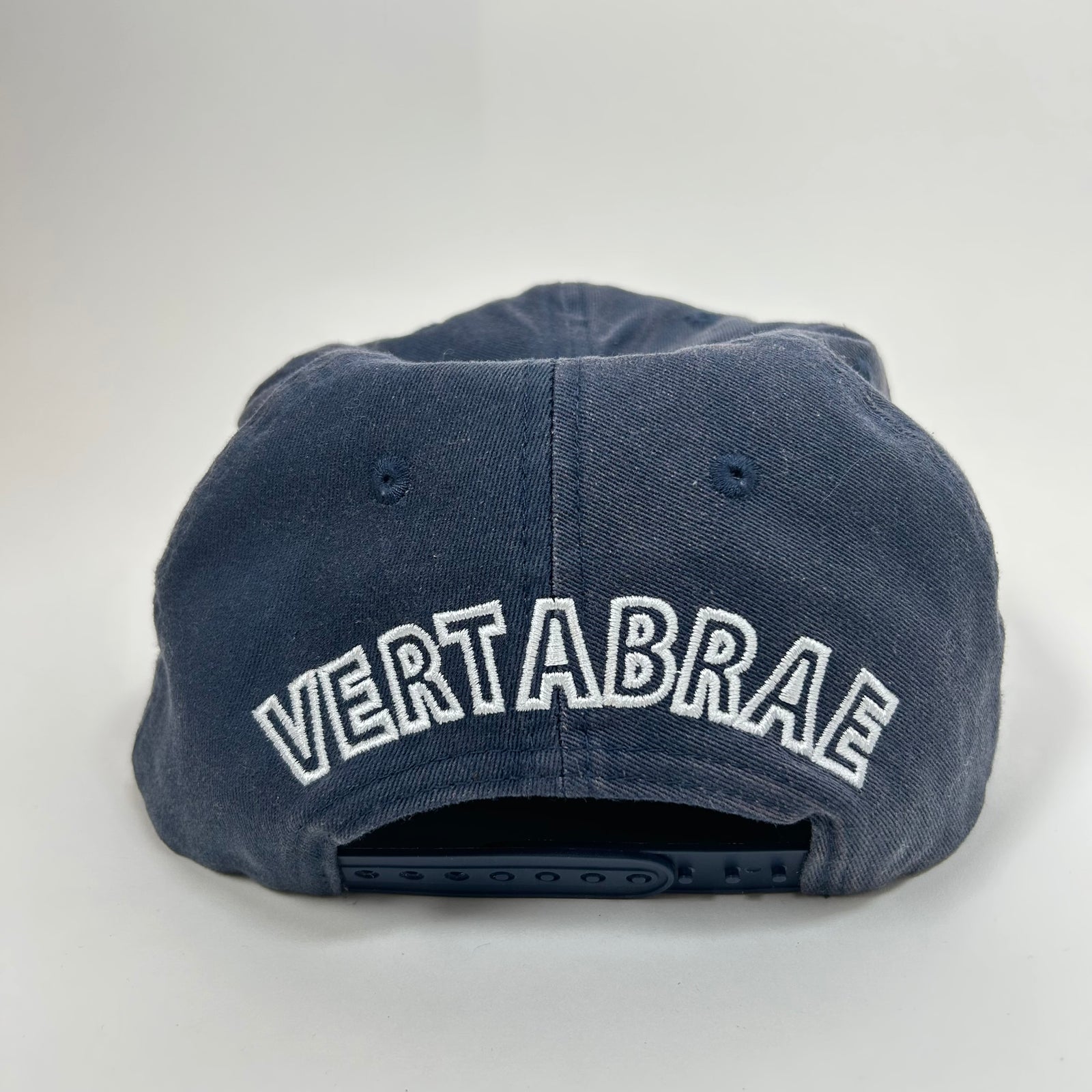Vertebrae Blue Starter Cap