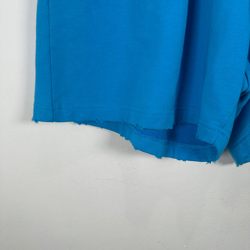 Balenciaga Campaign Blue Shorts Size M