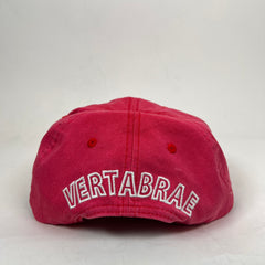 Vertabrae Washed Red Vintage Logo Snapback