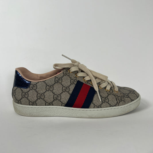 Gucci Classic Aces Sneaker 37.5