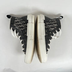 Dior B23 Oblique High Tops Size 9