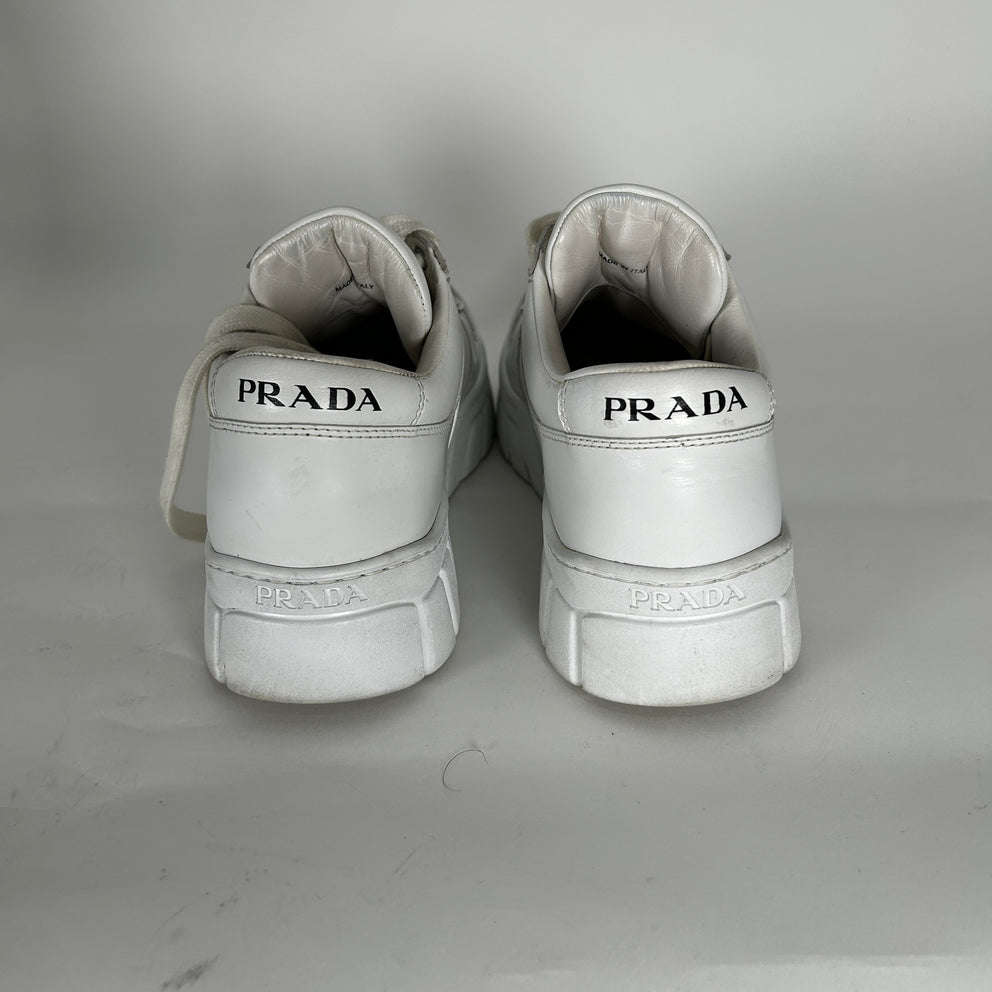 Prada Plaque White Sneaker Size 5