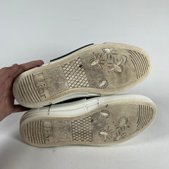 Dior B23 Oblique High Tops Size 9