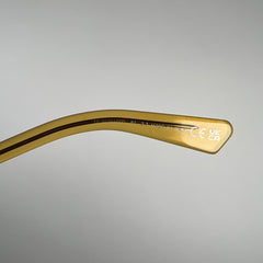 Dior Prisemo Acetate Sunglasses