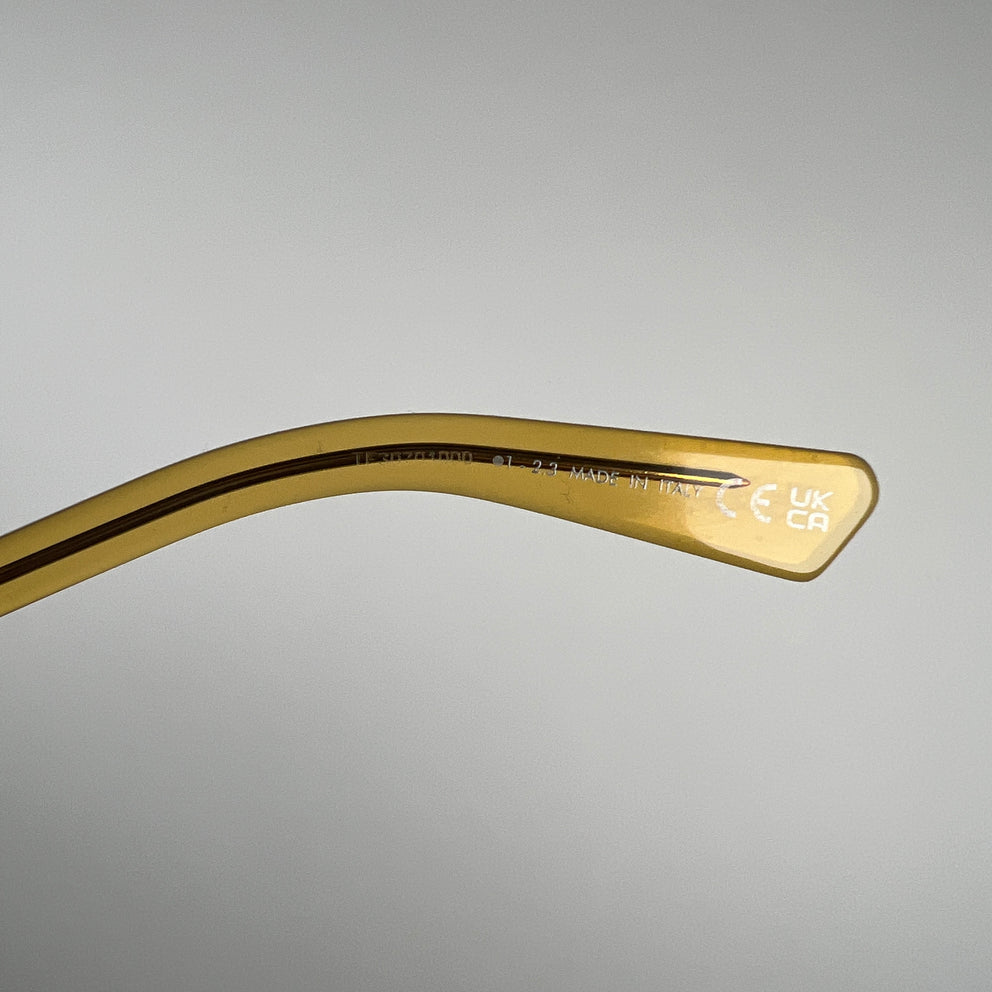 Dior Prisemo Acetate Sunglasses