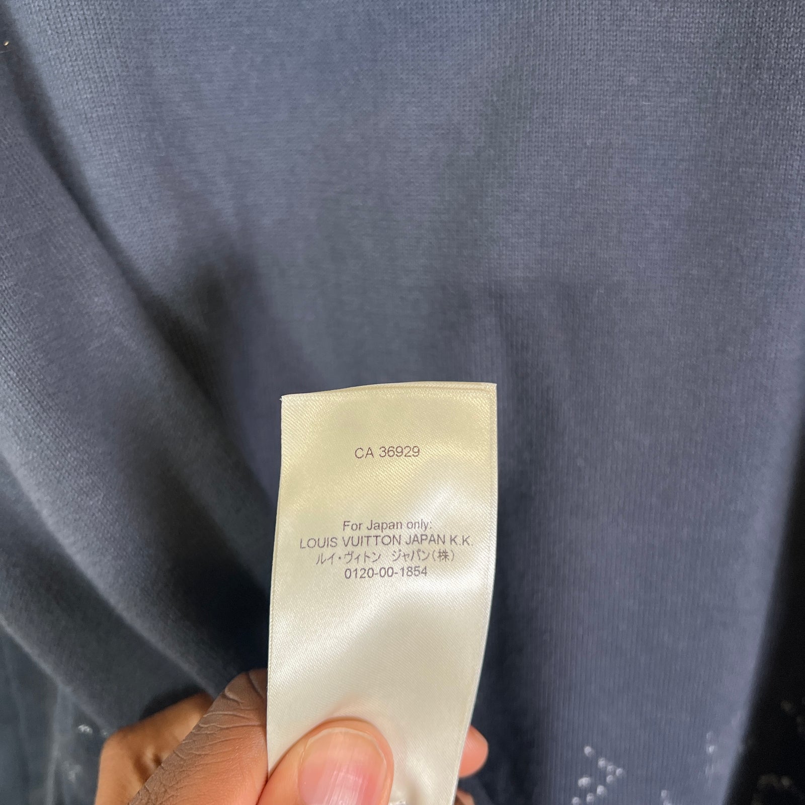 Louis Vuitton Gradient Monogram Hoodie