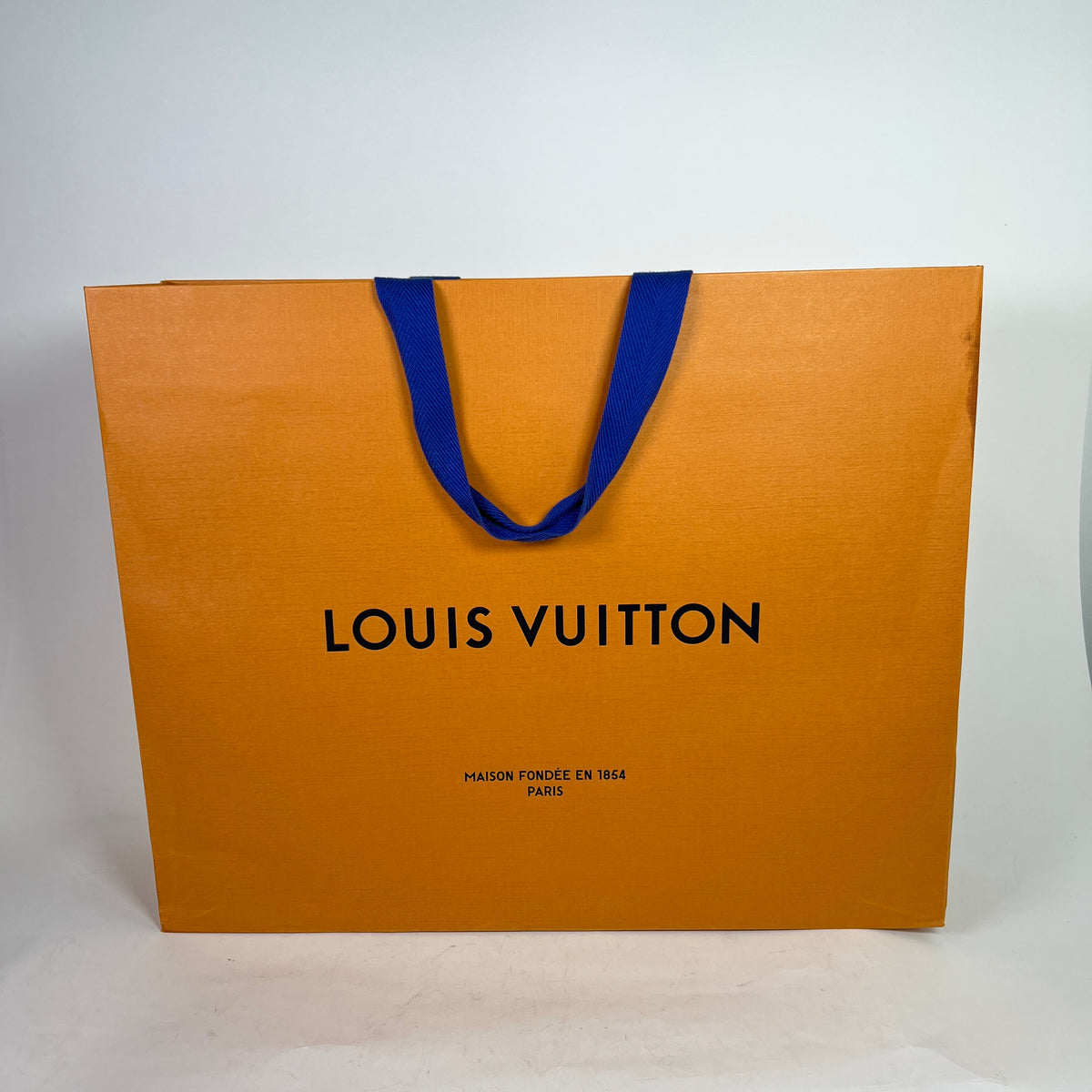 Louis Vuitton Damier Ebene Neverfull MM Toe Bag