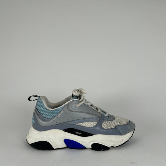 Dior B22 Tarheel Low Tops Size 43