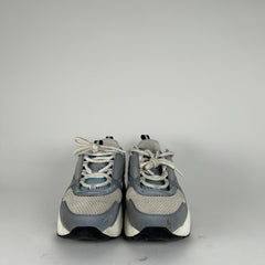Dior B22 Tarheel Low Tops Size 43