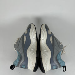 Dior B22 Tarheel Low Tops Size 43