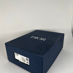 Dior B22 Tarheel Low Tops Size 43