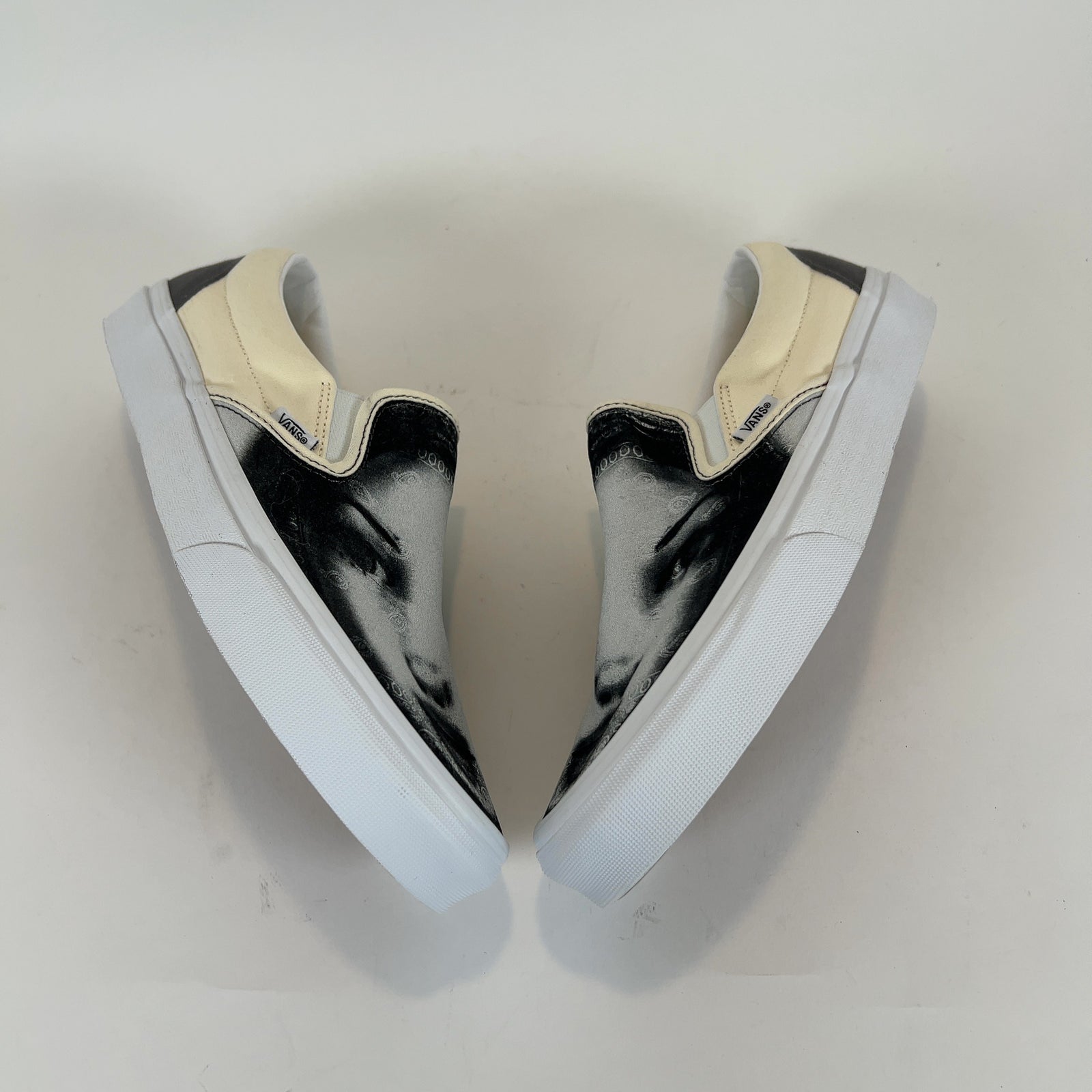Vans x T-Rex 'Her' Slip On Sneakers