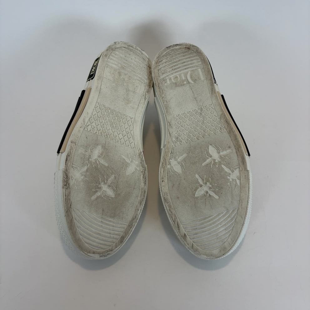 Dior B23 Floral Lowtop Sneakers