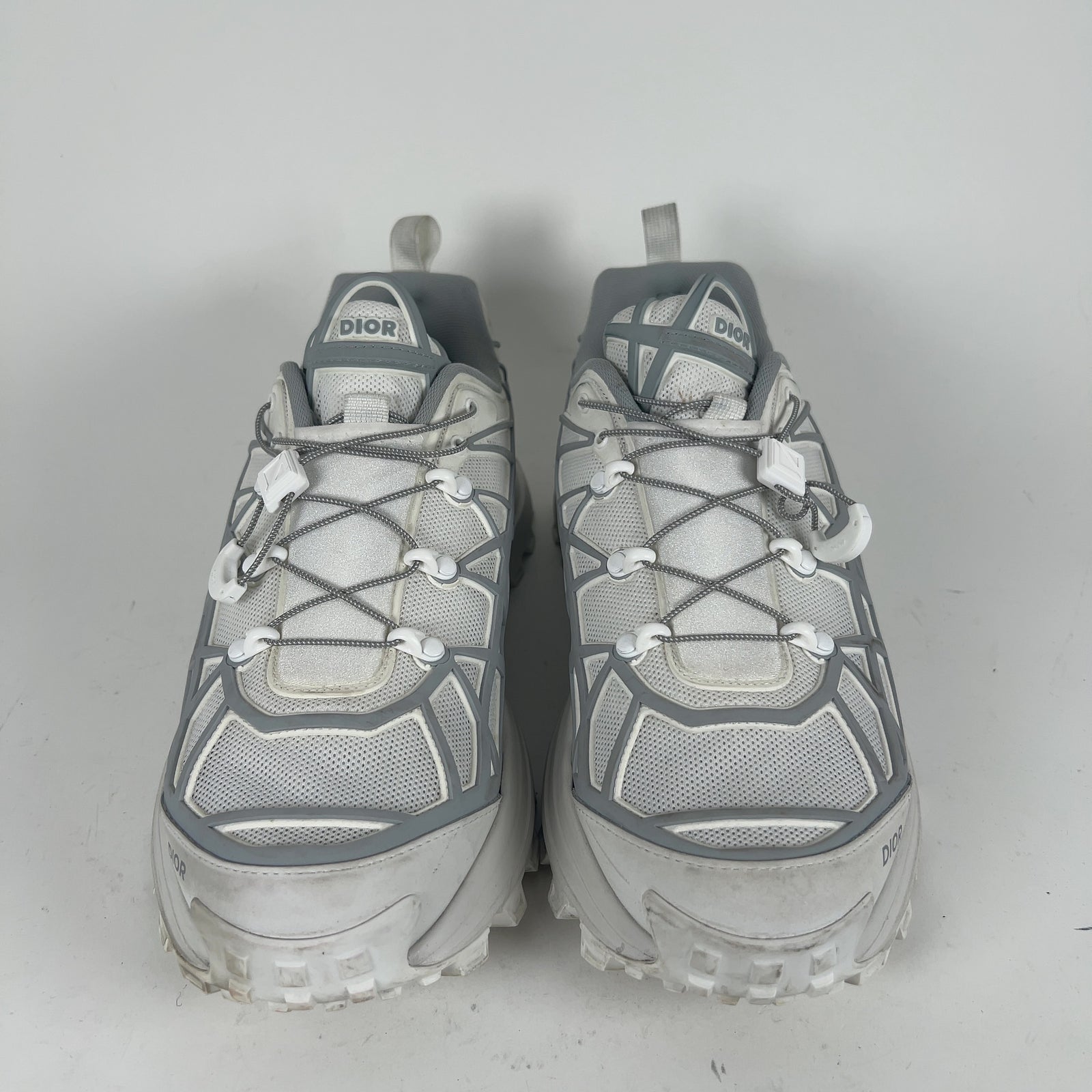 Dior B31 Low-Top Sneaker
