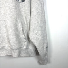 Essentials Logo Graphic Hoodie