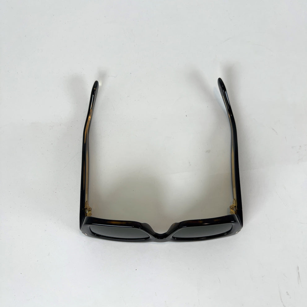 Tom Ford x Zeiss 'Icon' Tortoise Sunglasses