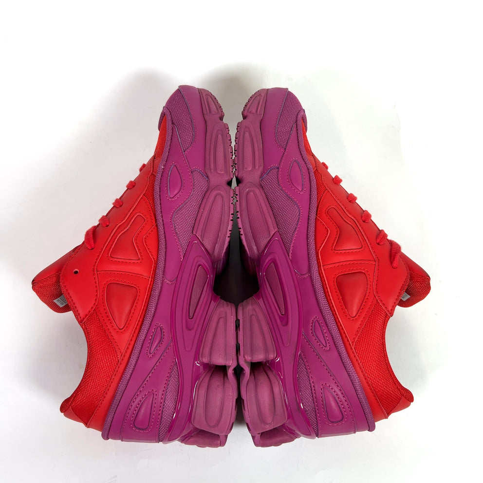 Raf Simons x Adidas 'Glory' Ozweegos