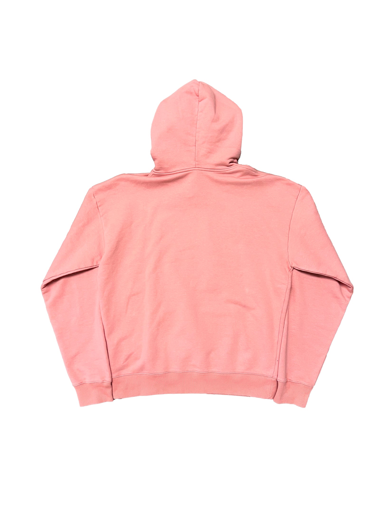 Dior Cactus Jack Hoodie Size Large
